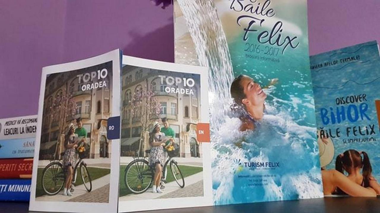 Garsoniera Cristina Lejlighed Băile Felix Eksteriør billede